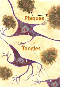 Named plaques&tangles